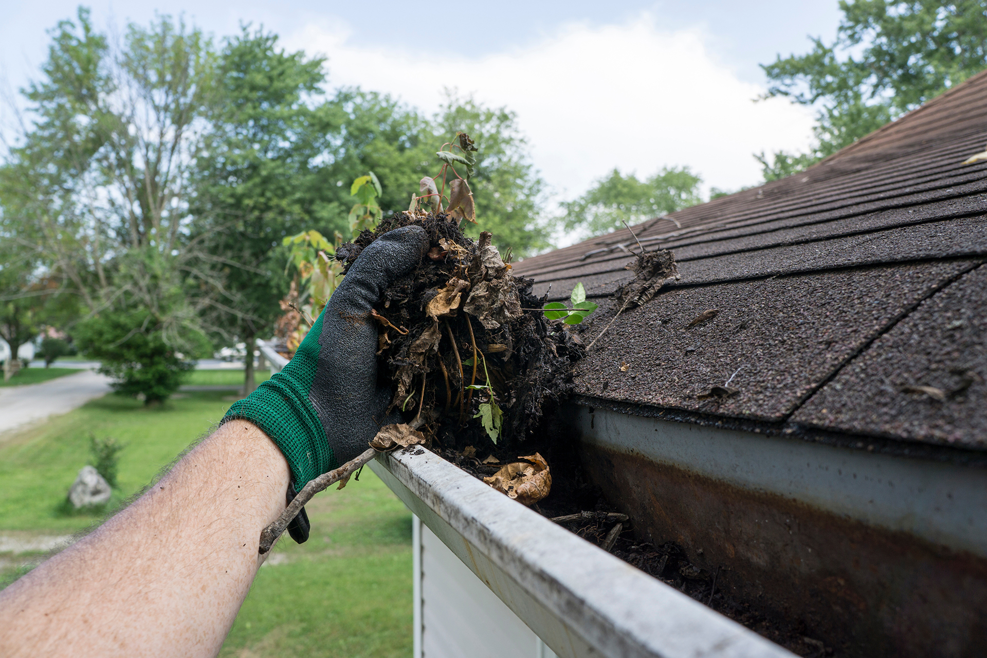Professional gutter cleaning in progress