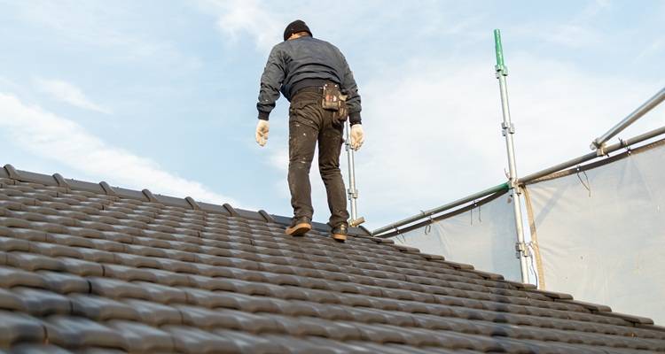 Professional roof condition survey