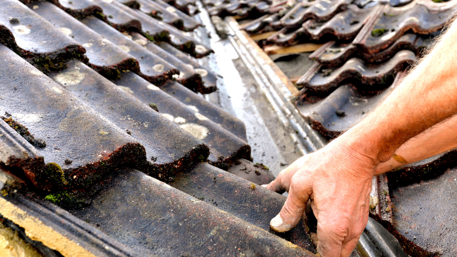 Roof Repairs